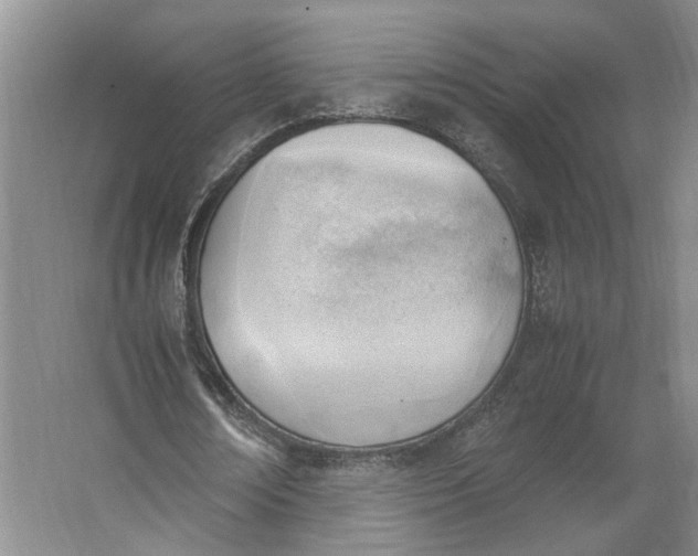 X0000062870674200601271556