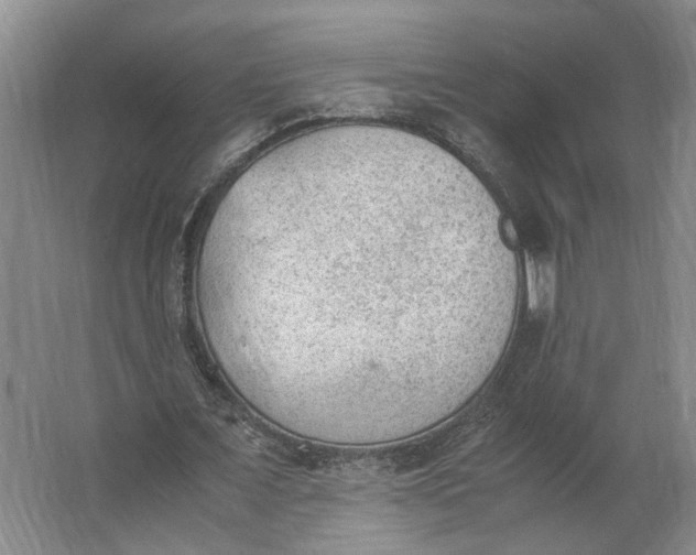 X0000062870675200601271556