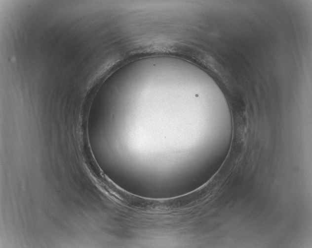 X0000062870677200601271556