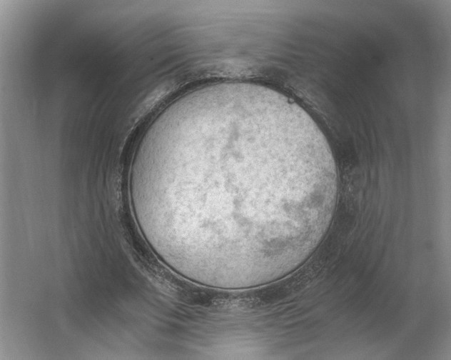 X0000062870679200601271556