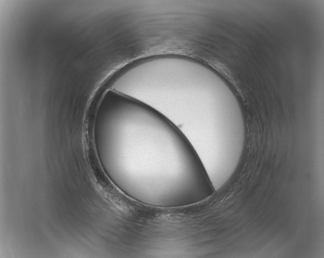 X0000062870680200601271556