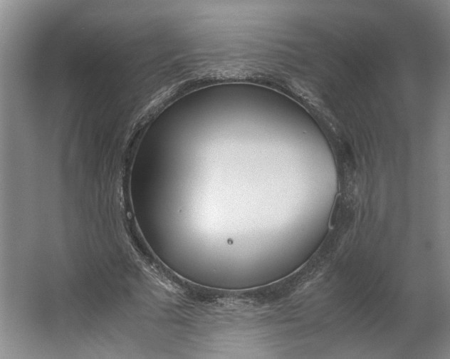 X0000062870681200601271556