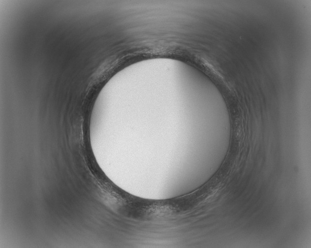 X0000062870685200601271556