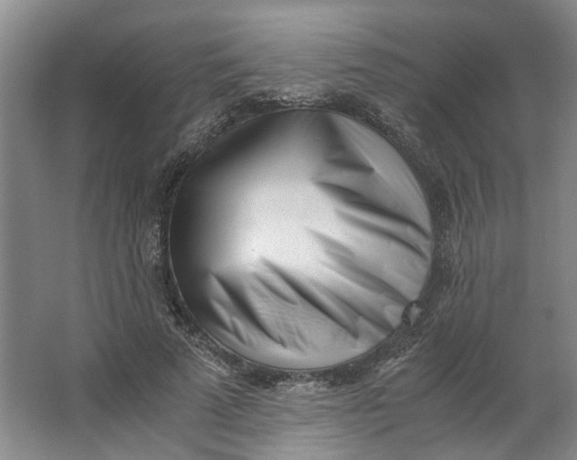 X0000062870689200601271556