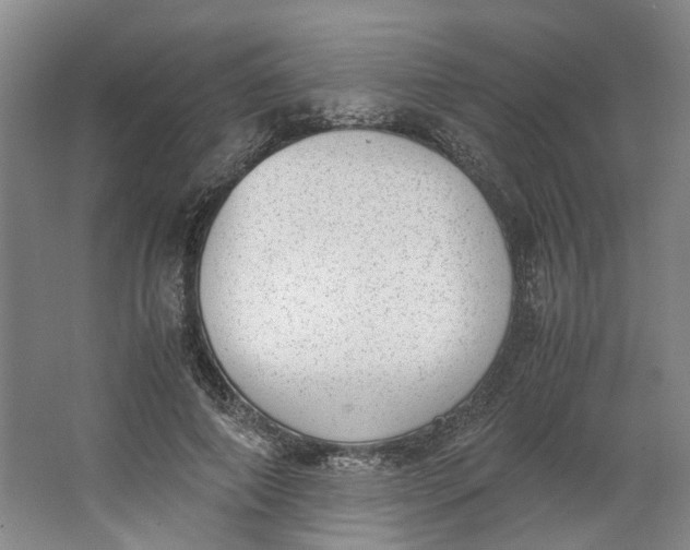 X0000062870690200601271556