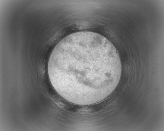 X0000062870691200601271556