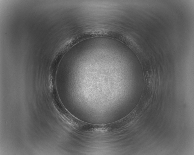 X0000062870692200601271556