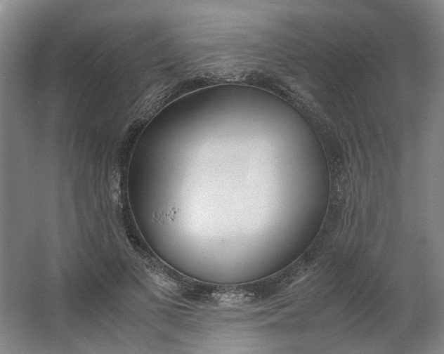 X0000062870693200601271556