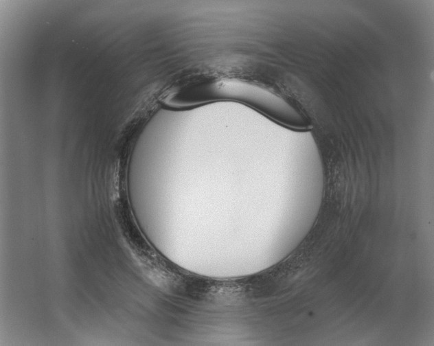 X0000062870694200601271556