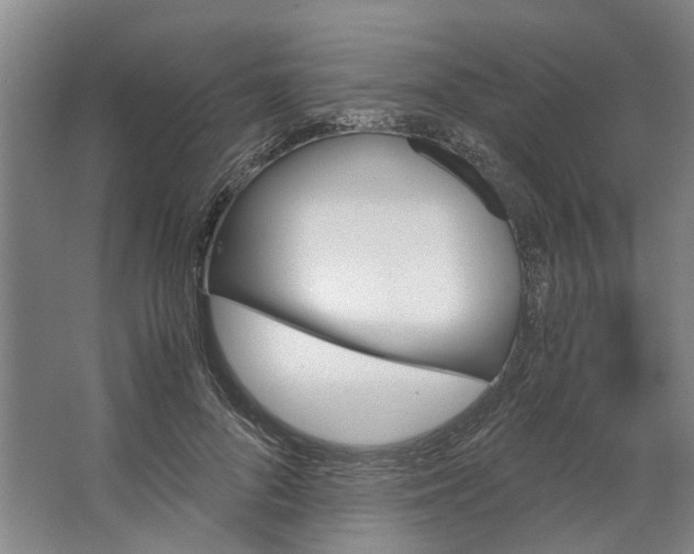 X0000062870696200601271556