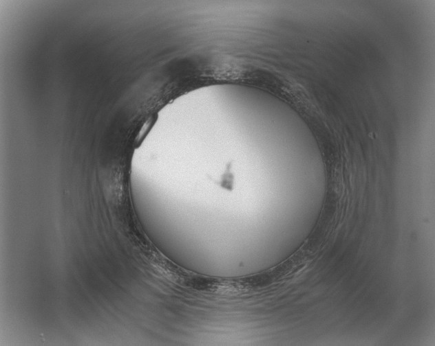 X0000062870697200601271556