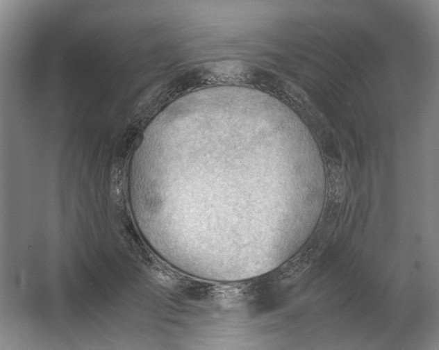 X0000062870701200601271556