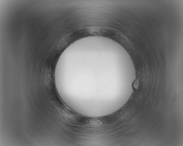 X0000062870702200601271556