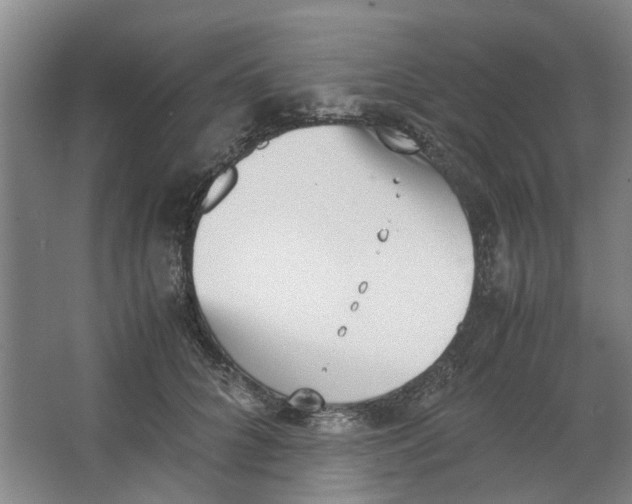 X0000062870704200601271556