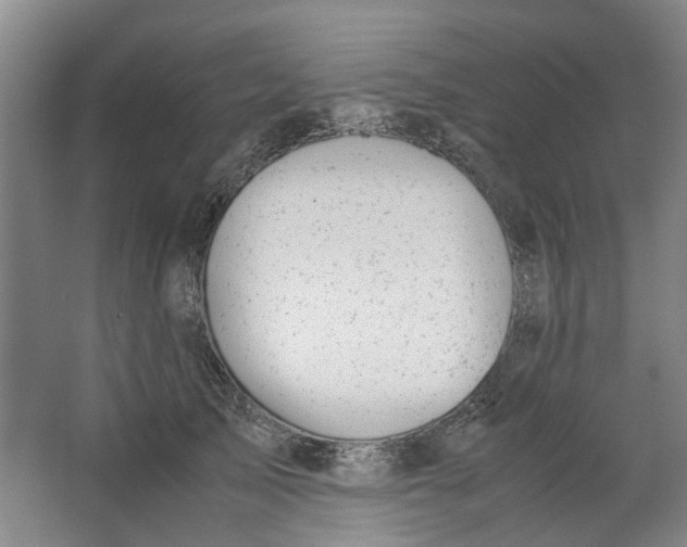 X0000062870705200601271556