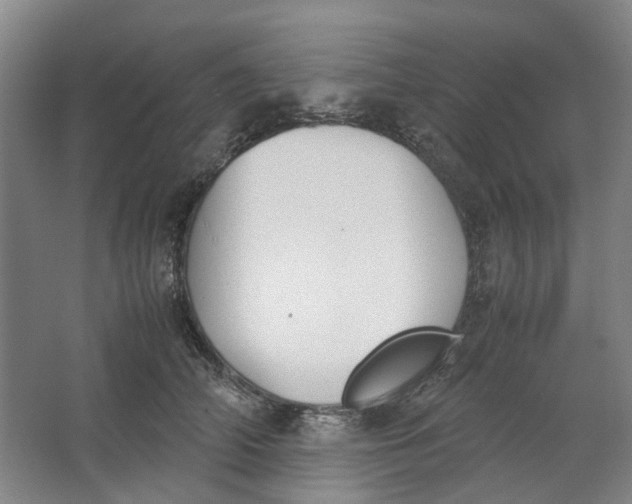 X0000062870706200601271556