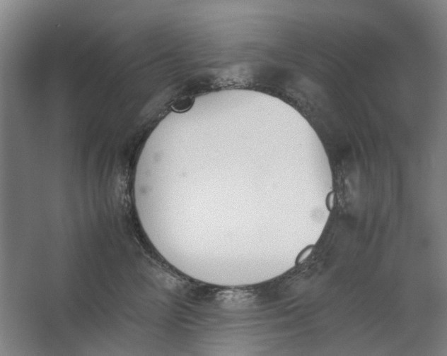 X0000062870714200601271556