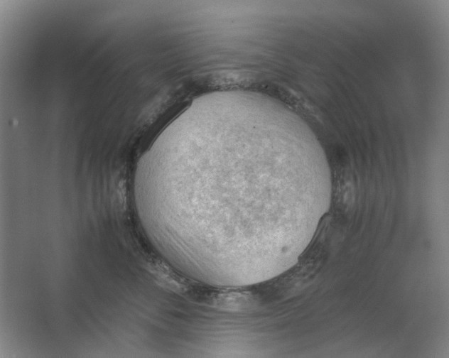 X0000062870716200601271556