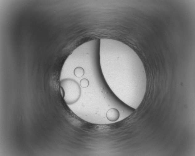 X0000062870719200601271556