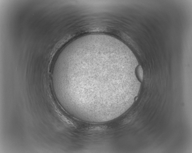 X0000062870721200601271555