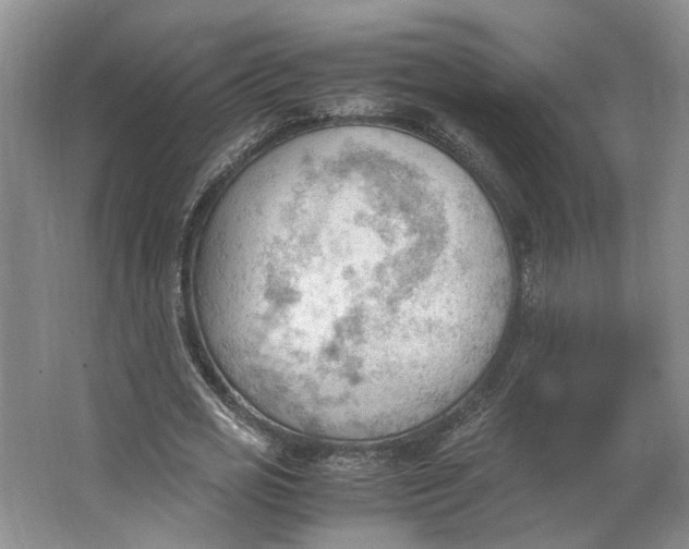 X0000062870725200601271555