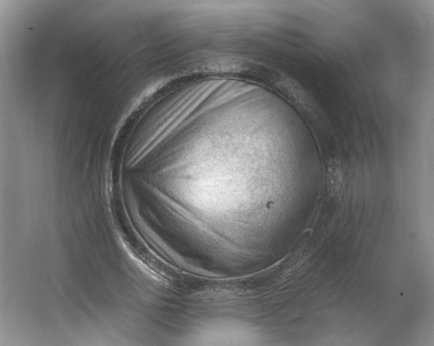 X0000062870726200601271555