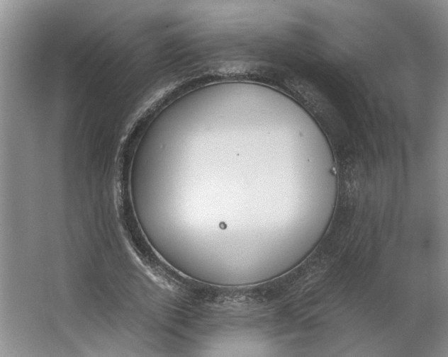 X0000062870728200601271555