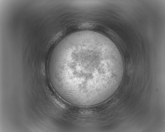 X0000062870729200601271555