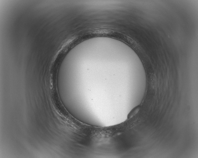 X0000062870731200601271555