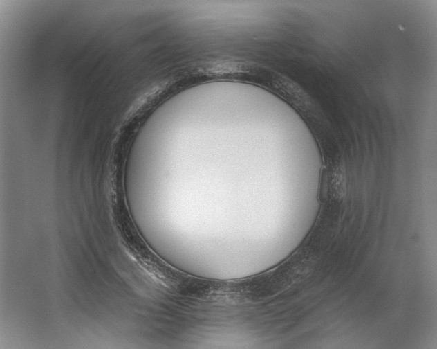 X0000062870732200601271555