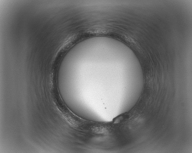 X0000062870735200601271555