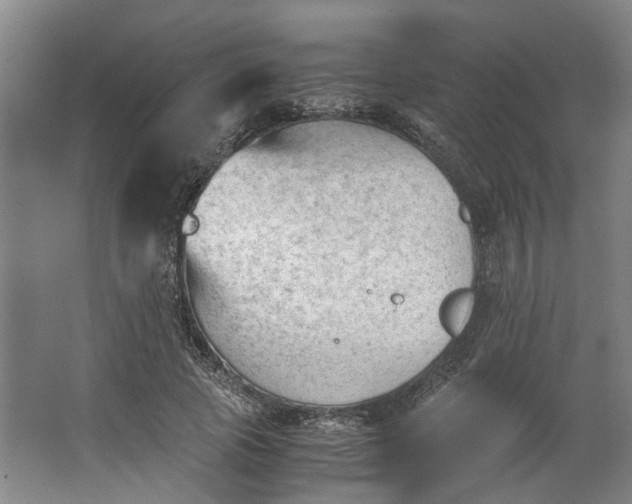 X0000062870737200601271555