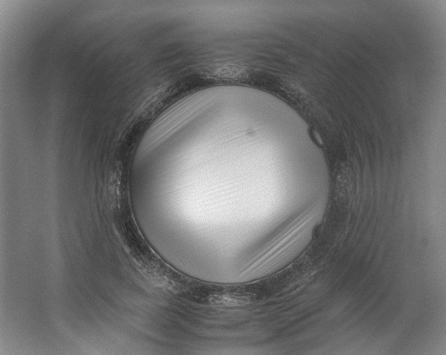 X0000062870739200601271555