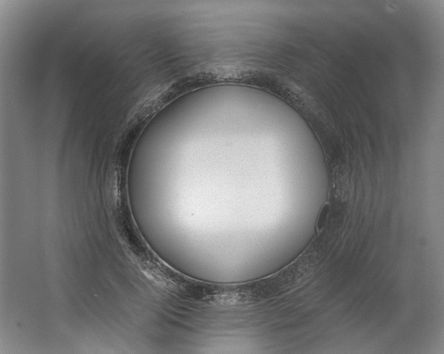 X0000062870740200601271555