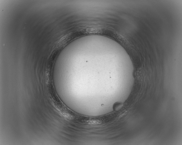 X0000062870741200601271555