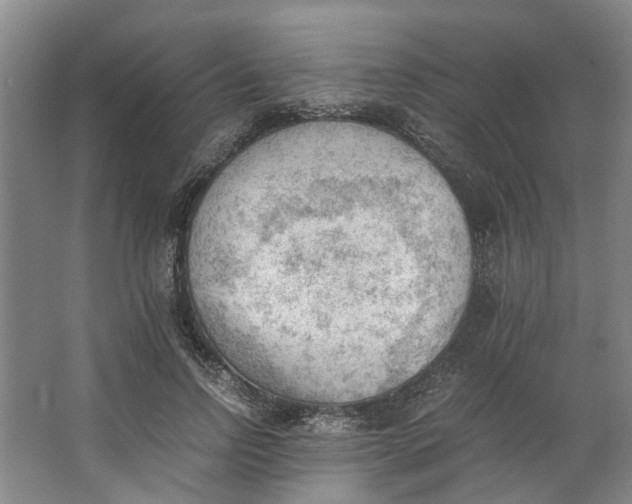 X0000062870742200601271555