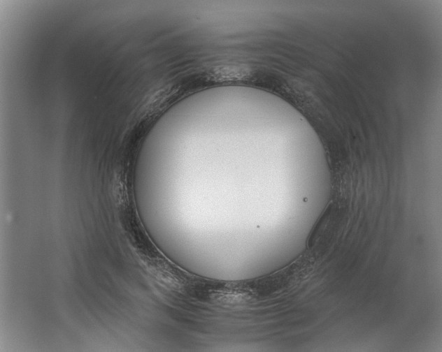 X0000062870743200601271555