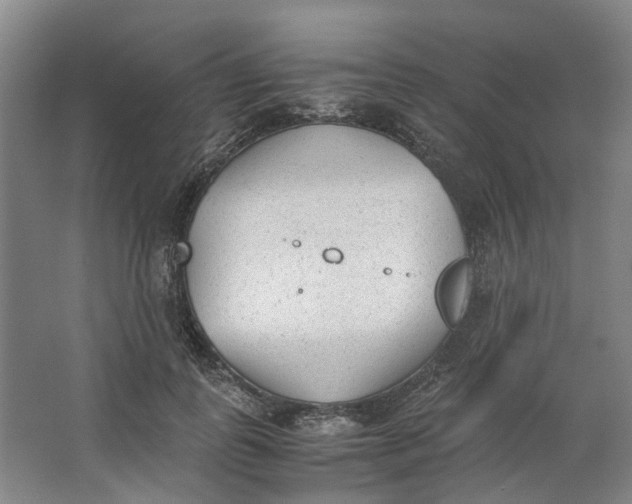 X0000062870747200601271555