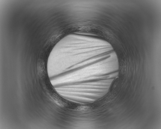 X0000062870748200601271555