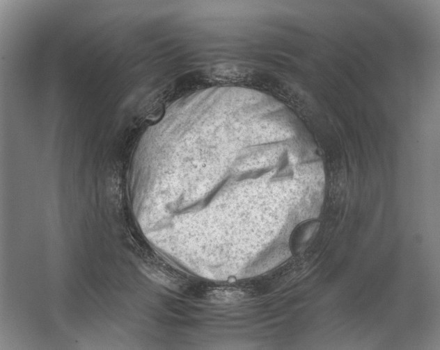 X0000062870749200601271555