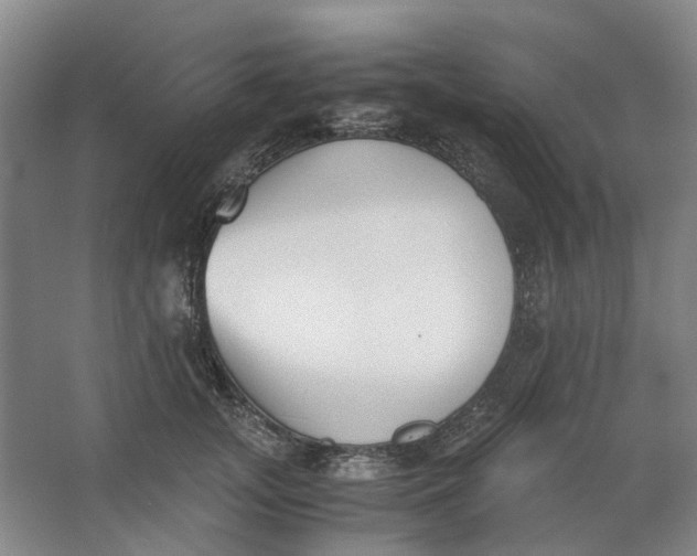 X0000062870755200601271555