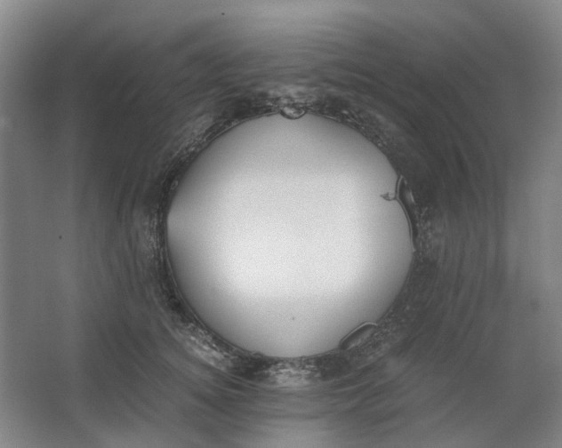 X0000062870756200601271555