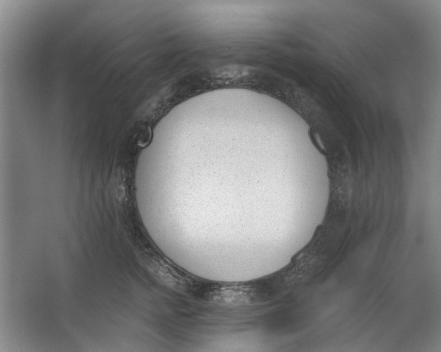 X0000062870758200601271555