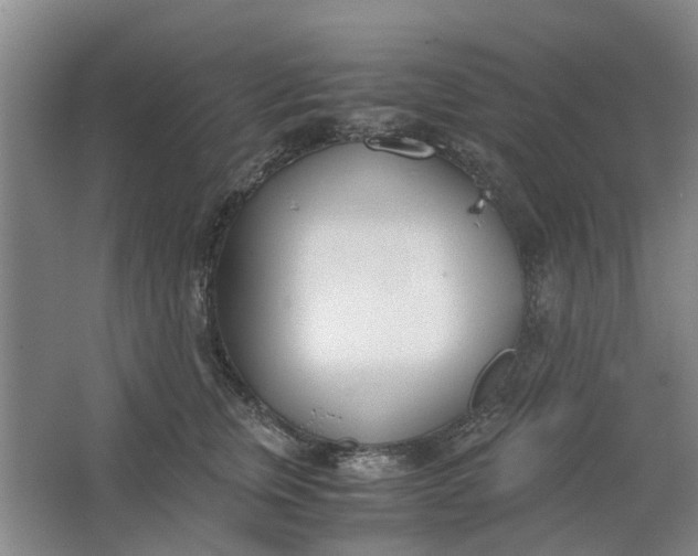 X0000062870759200601271555