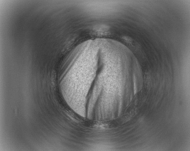 X0000062870760200601271555