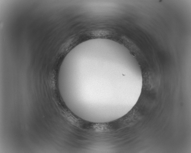 X0000062870762200601271556