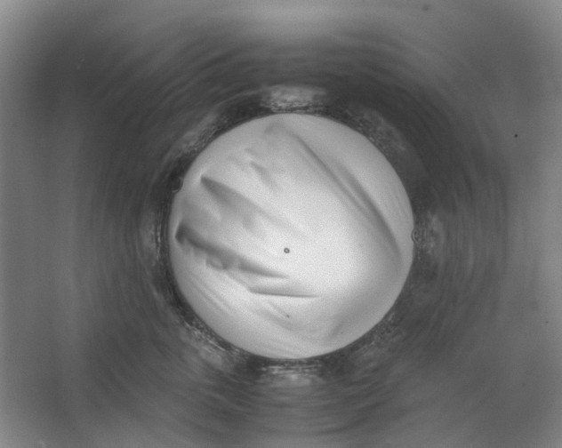 X0000062870763200601271556