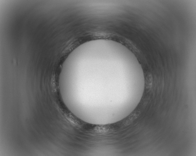 X0000062870764200601271556