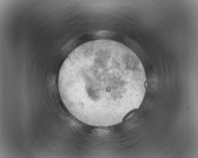 X0000062870765200601271556