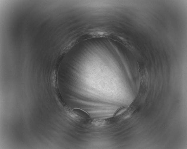 X0000062870767200601271556